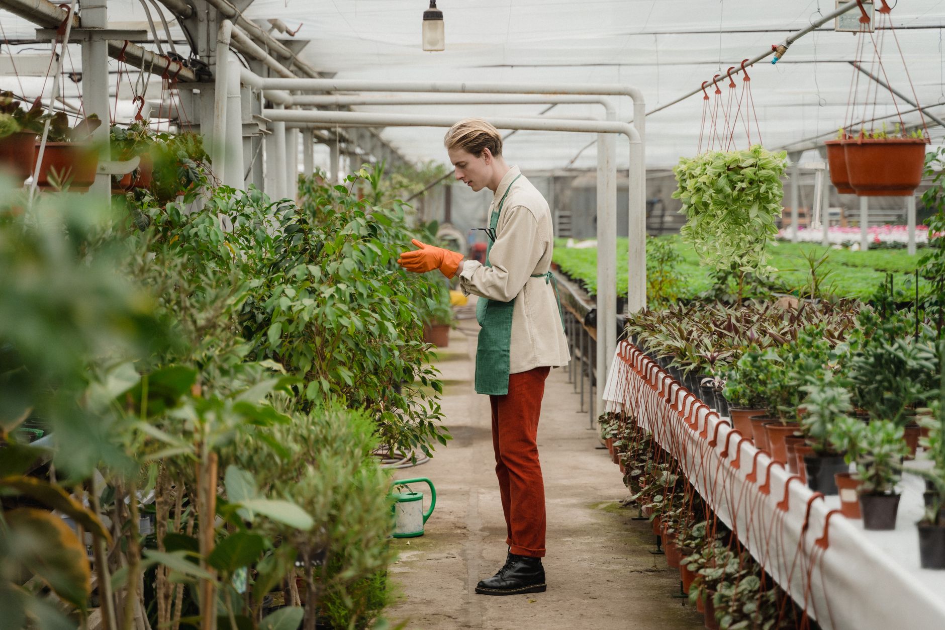 APPSC Horticulture Officer Vacancy: Is It the Best Chance?